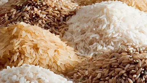تصویر 3 از قیمت خرید برنج هاشمی آمل + فروش ویژه